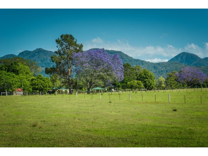287 Roses Road, Bellingen NSW 2454