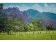 287 Roses Road, Bellingen NSW 2454