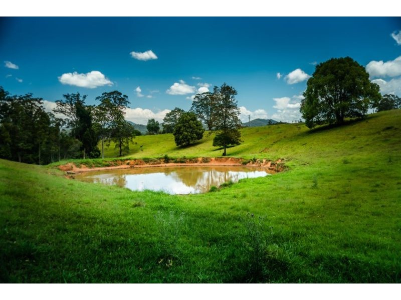 287 Roses Road, Bellingen NSW 2454