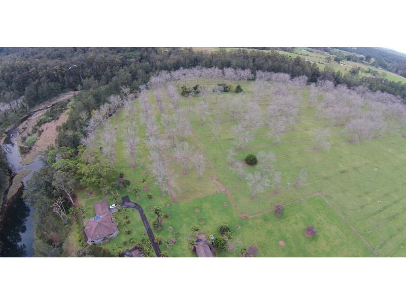 2086 Waterfall Way, Bellingen NSW 2454