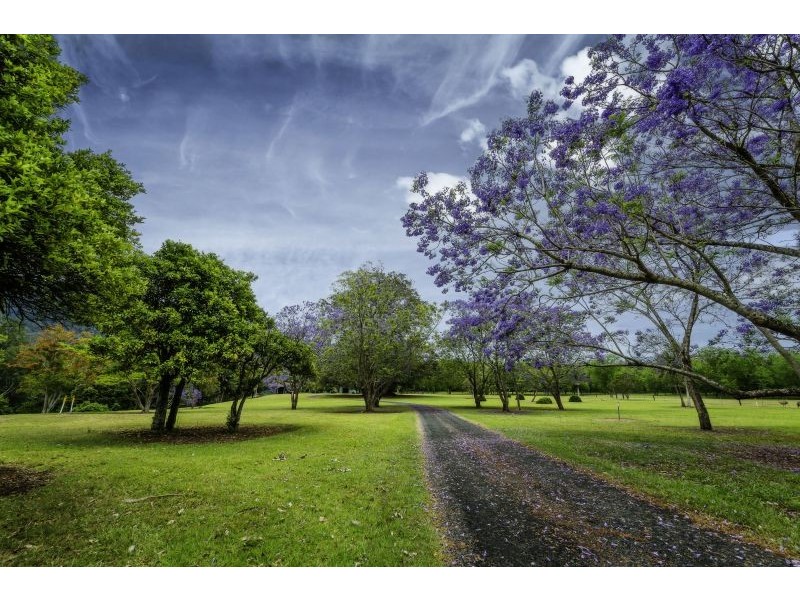 2086 Waterfall Way, Bellingen NSW 2454