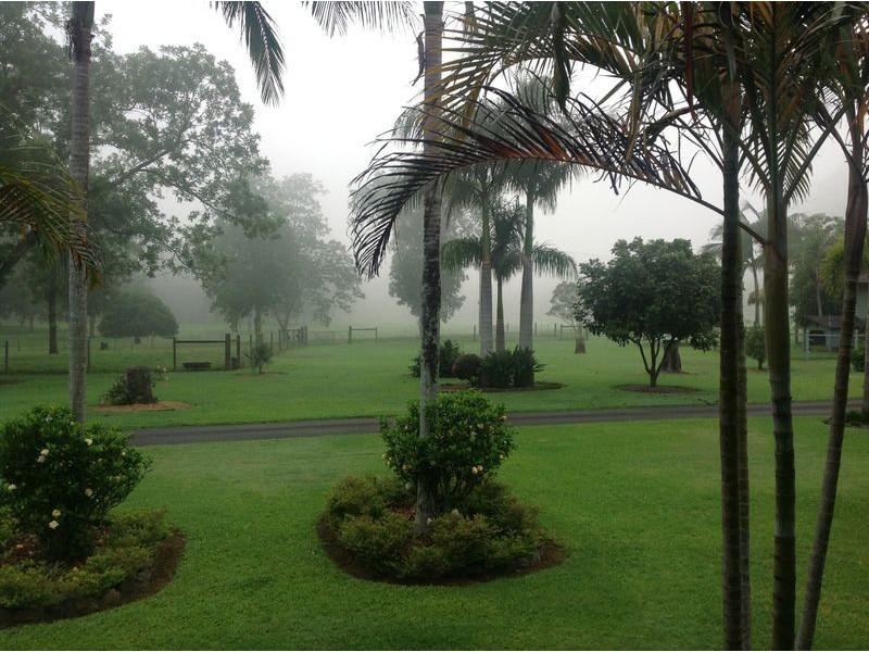 2086 Waterfall Way, Bellingen NSW 2454