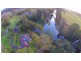 2086 Waterfall Way, Bellingen NSW 2454