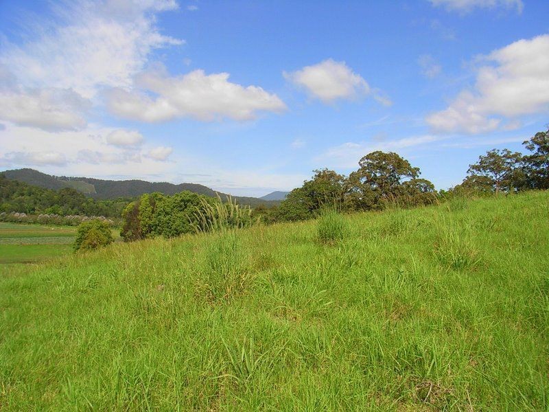 347 North Bank Road, Bellingen NSW 2454