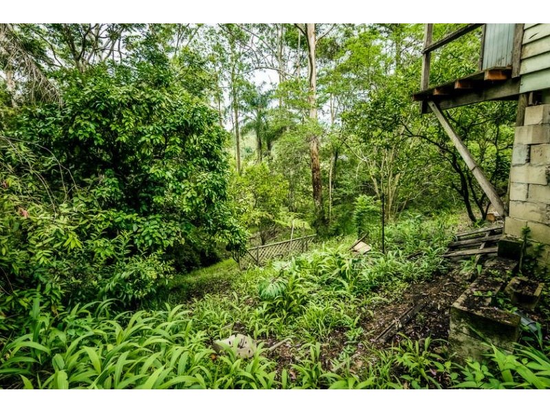 3 Hill Street, Bellingen NSW 2454