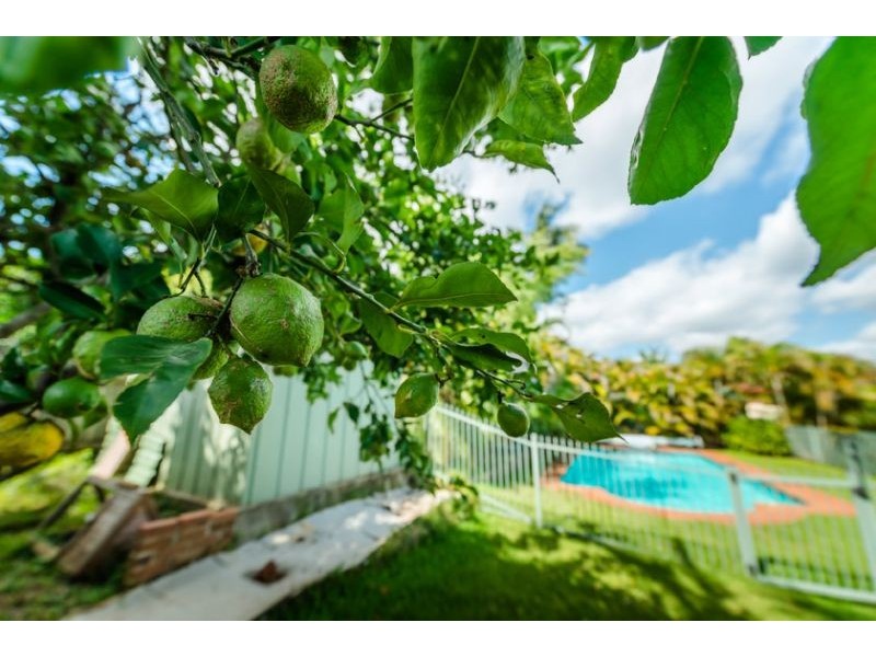 9 Raymond Close, Bellingen NSW 2454