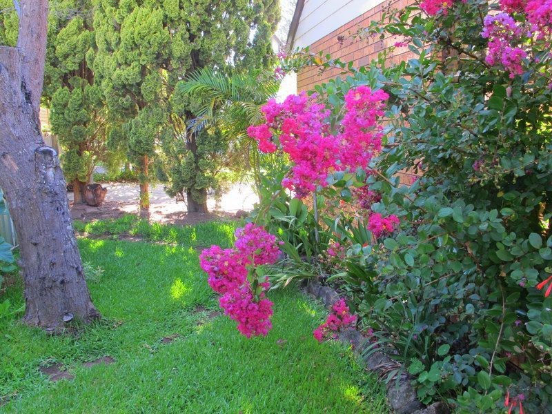 4/1 Robert St Lane, Bellingen NSW 2454