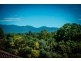 47 Crown Street, Bellingen NSW 2454