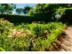 47 Crown Street, Bellingen NSW 2454