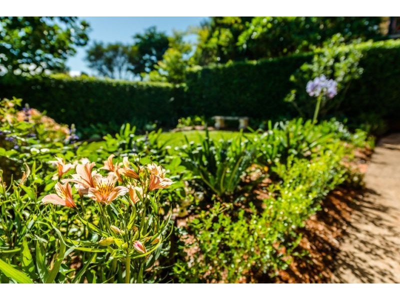 47 Crown Street, Bellingen NSW 2454