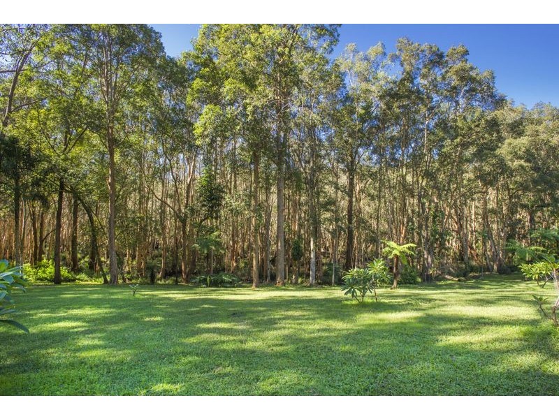 229 Short Cut Road, Raleigh NSW 2454