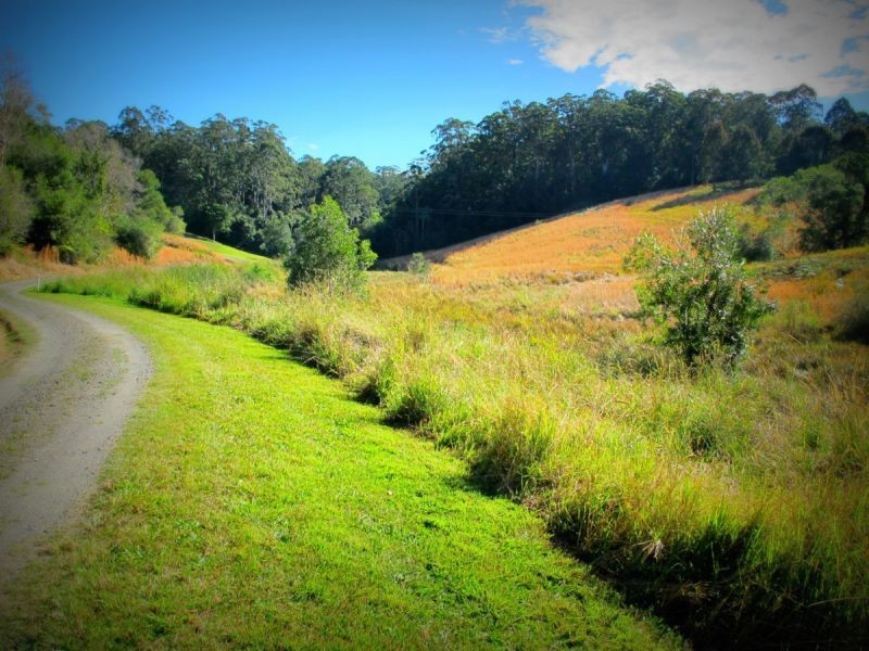 73 Hydes Creek Rd, Bellingen NSW 2454