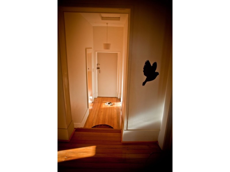 7H Church Street, Bellingen NSW 2454