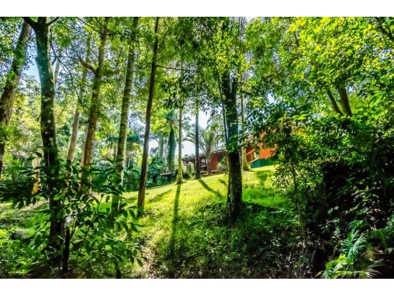 109 Lyon Road, Repton NSW 2454