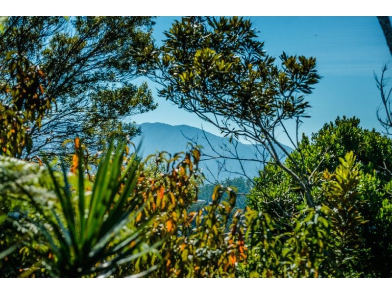 55 William Street, Bellingen NSW 2454