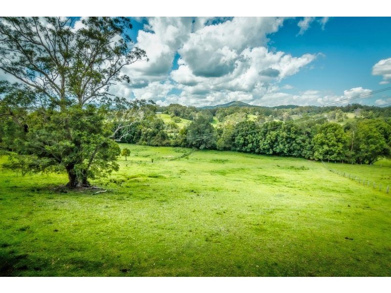92 Hains Lane, Bellingen NSW 2454