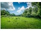 92 Hains Lane, Bellingen NSW 2454