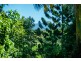 5 Dillon Close, Bellingen NSW 2454