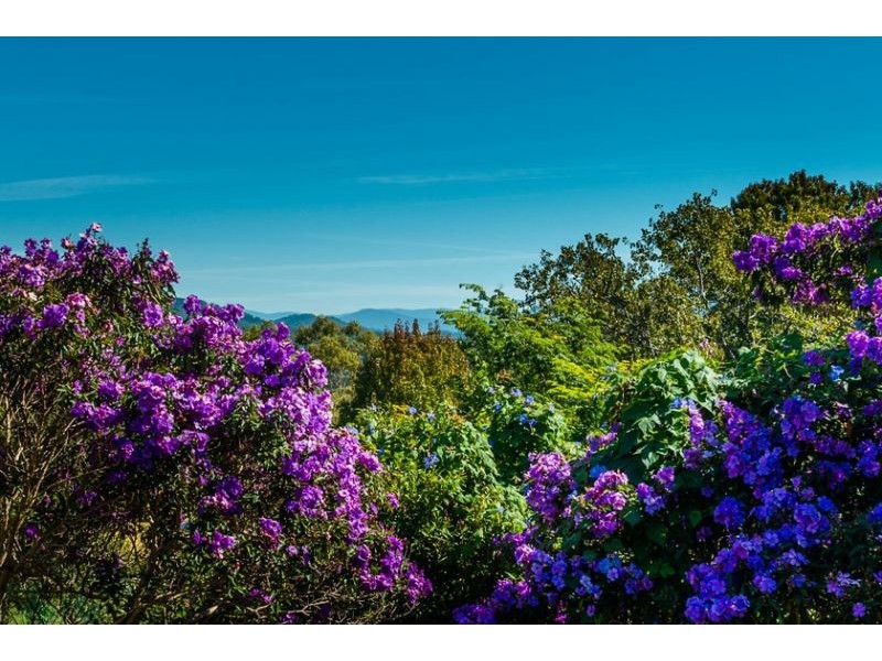 9 Braithwaite Avenue, Bellingen NSW 2454