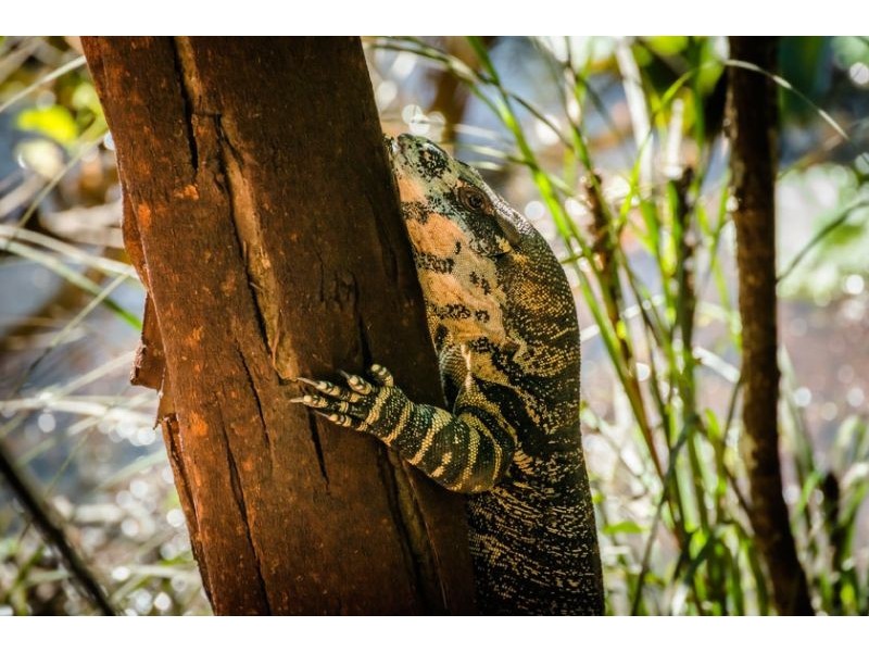 468 Sullivans Road, Valla NSW 2448