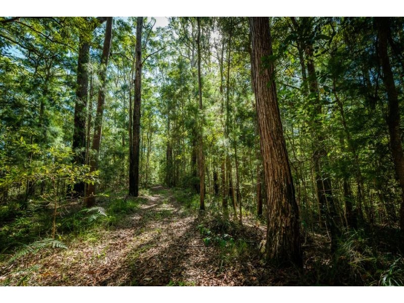 468 Sullivans Road, Valla NSW 2448