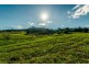 448 Gordonville Road, Gleniffer NSW 2454