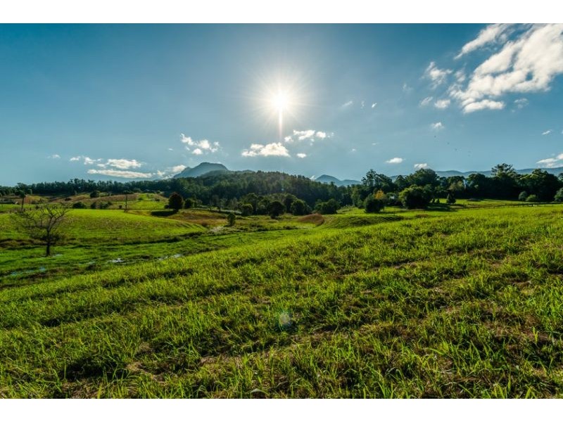 448 Gordonville Road, Gleniffer NSW 2454