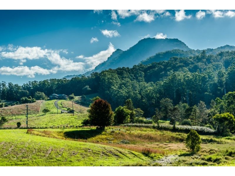 448 Gordonville Road, Gleniffer NSW 2454