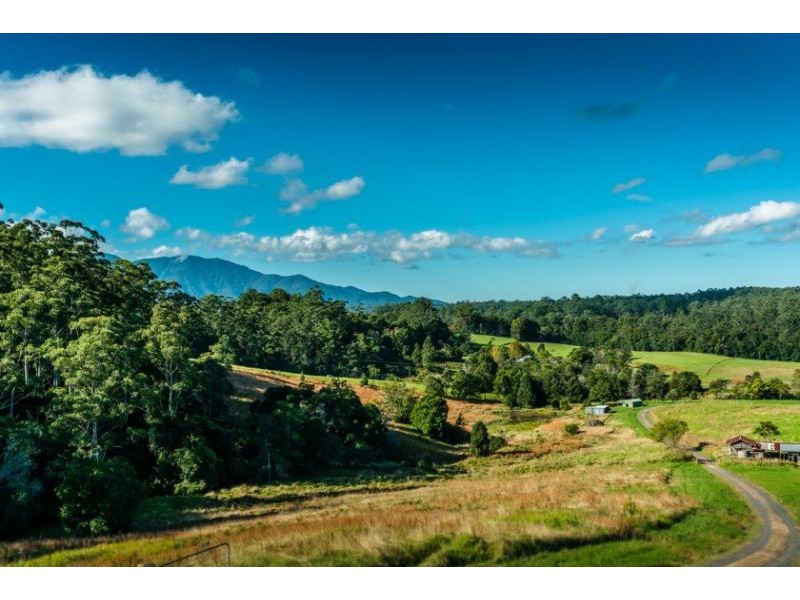 448 Gordonville Road, Gleniffer NSW 2454