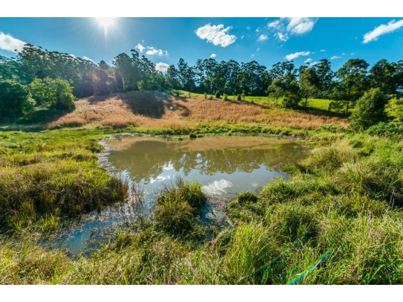 448 Gordonville Road, Gleniffer NSW 2454