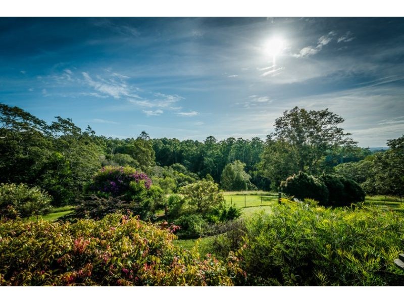 131 Mount Street, Bellingen NSW 2454