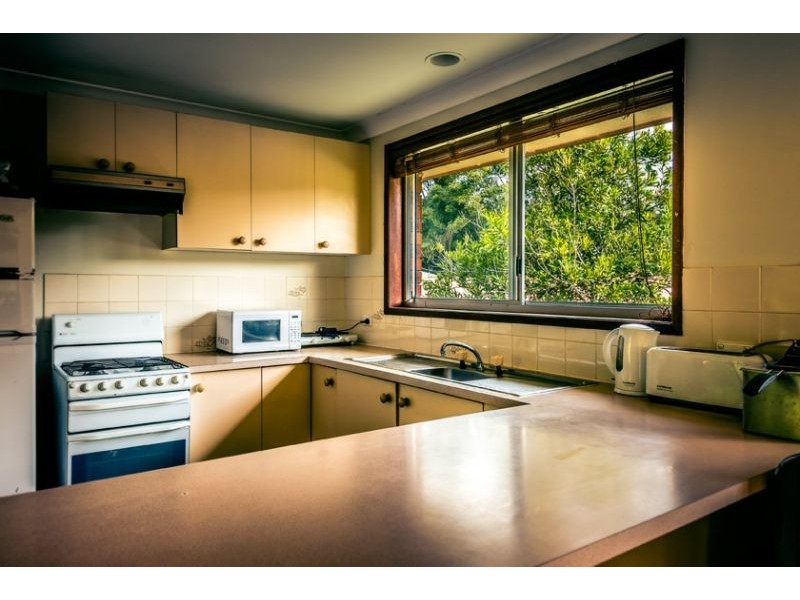 1 Ringwood Place, Bellingen NSW 2454