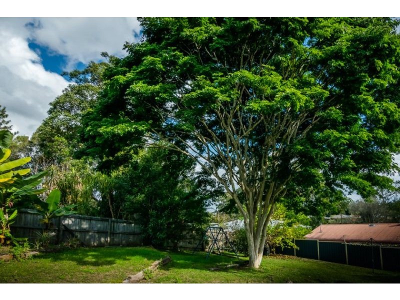 1 Ringwood Place, Bellingen NSW 2454