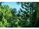 5 Dillon Close, Bellingen NSW 2454