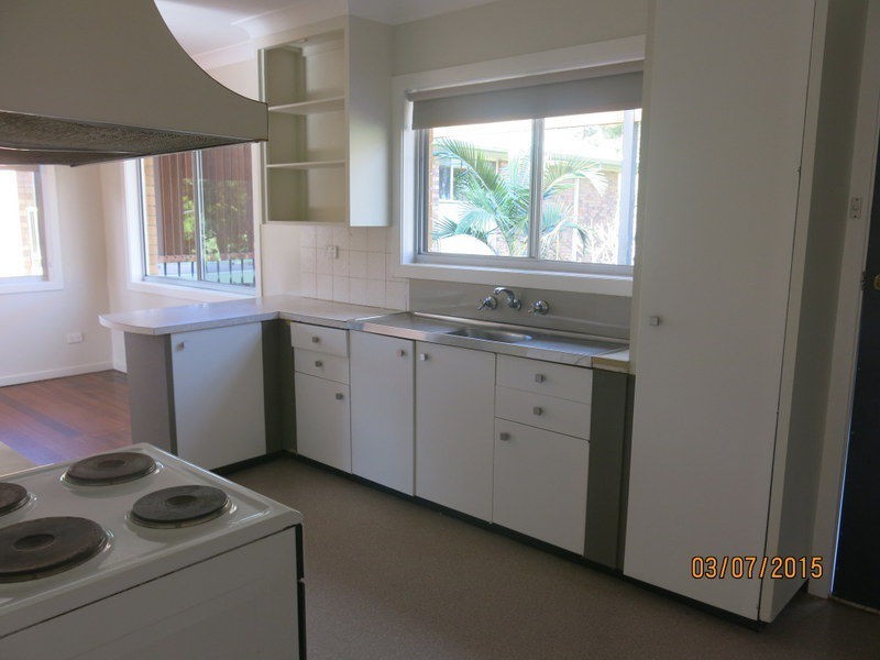 17 Black Street, Bellingen NSW 2454