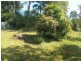6 Ringwood Place, Bellingen NSW 2454