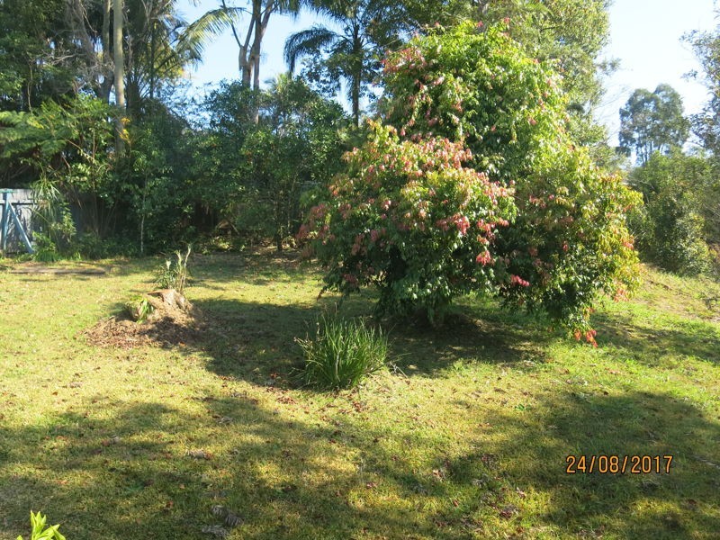6 Ringwood Place, Bellingen NSW 2454