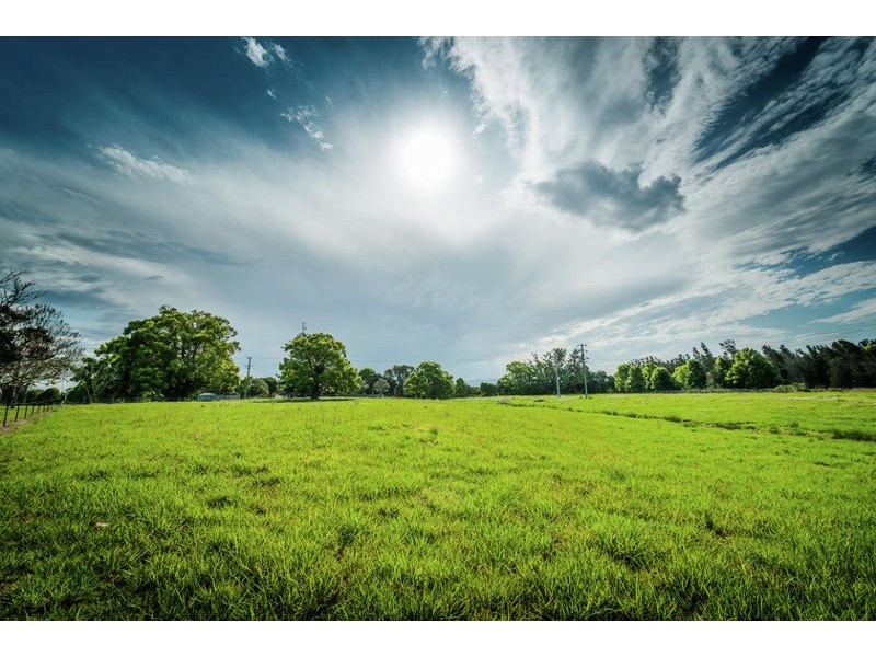 111 Old Ferry Road, Raleigh NSW 2454