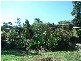 9 Tamarind Drive, Bellingen NSW 2454