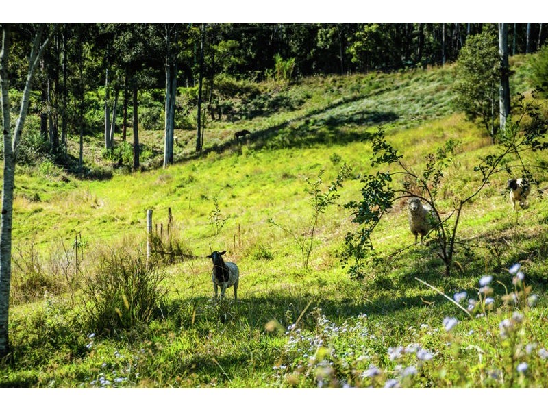 20 Fuerte Drive, Valla NSW 2448