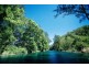 316 Kalang Road, Bellingen NSW 2454