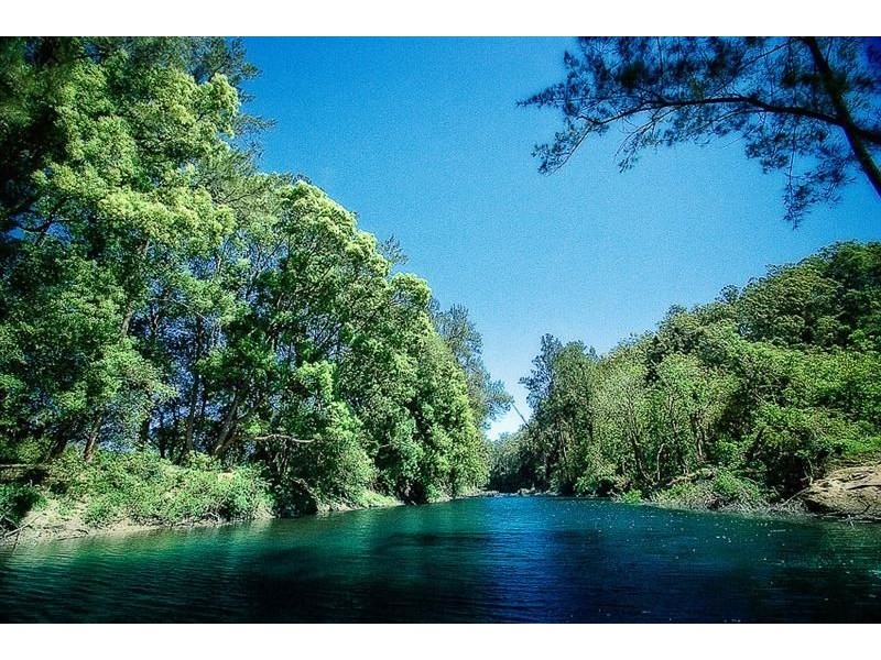 316 Kalang Road, Bellingen NSW 2454