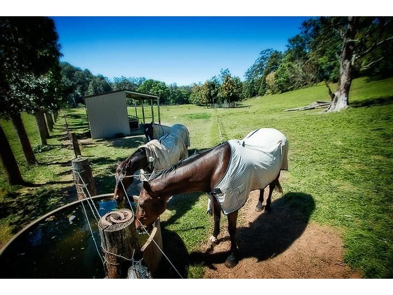 316 Kalang Road, Bellingen NSW 2454
