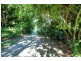 316 Kalang Road, Bellingen NSW 2454