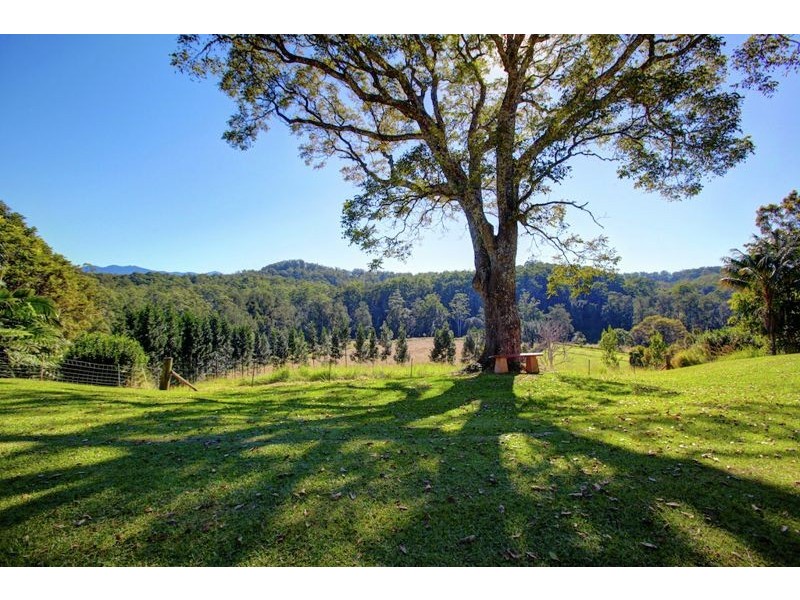 316 Kalang Road, Bellingen NSW 2454