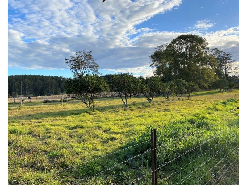 1605b “The Cottage” Waterfall Way, Bellingen NSW 2454