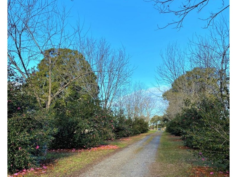 1605b “The Cottage” Waterfall Way, Bellingen NSW 2454