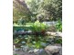 7-9 Prince Street, Bellingen NSW 2454