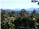 41 Lyon Street, Bellingen NSW 2454