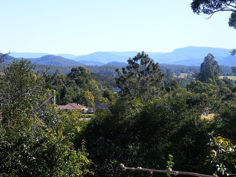 41 Lyon Street, Bellingen NSW 2454